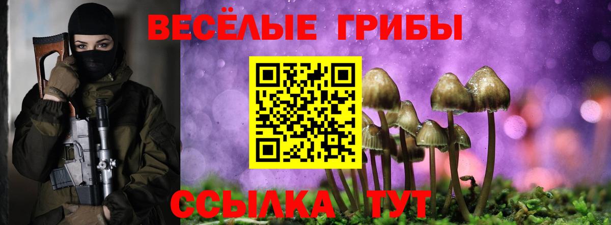 Буйнакск  Псилоцибиновые грибы GOLDEN TEACHER  Вход с VPN  купить закладку  Псилоцибиновые грибы Psilocybine cubensis 